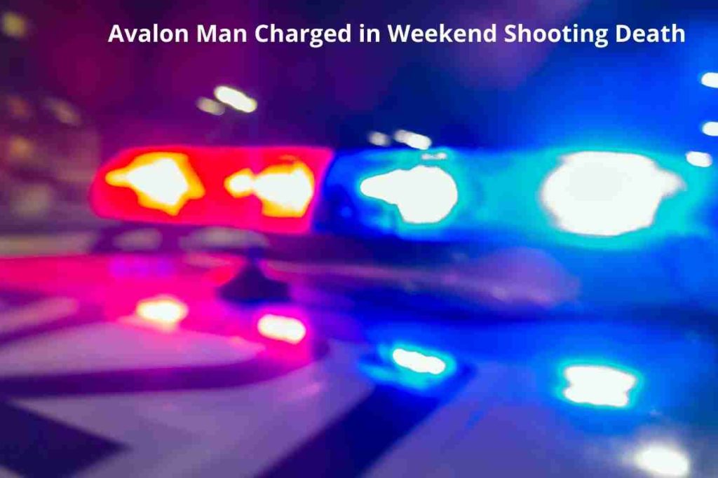 Avalon Man Charged in Weekend Shooting Death