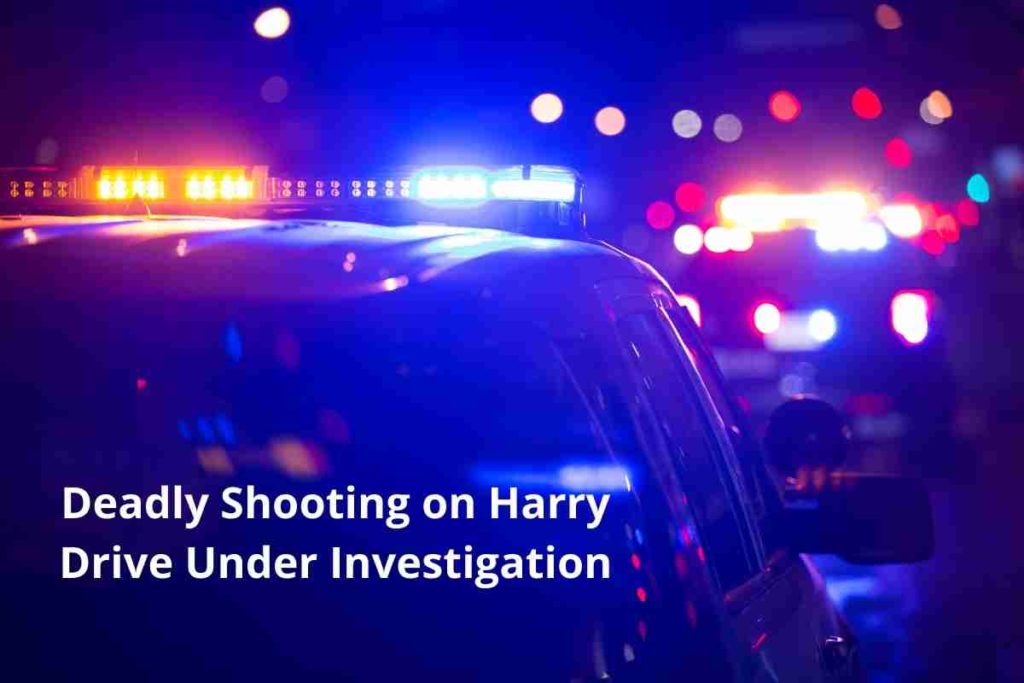 Deadly Shooting on Harry Drive Under Investigation