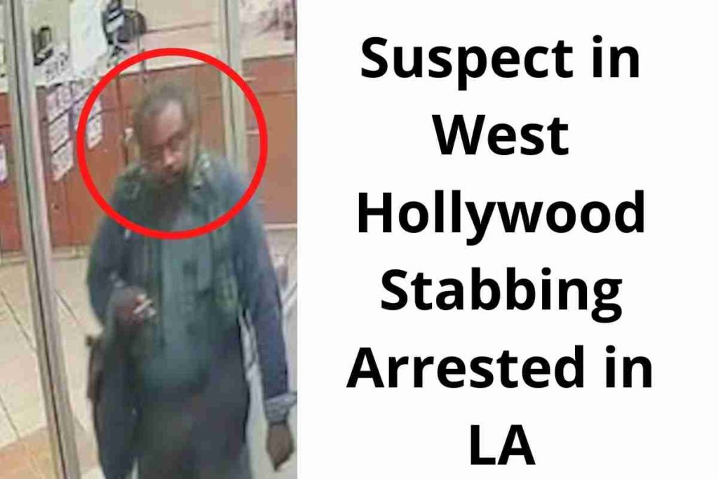Suspect in West Hollywood Stabbing Arrested in LA (1)