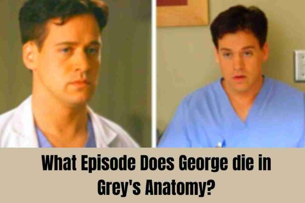 What Episode Does George die in Grey's Anatomy (1)