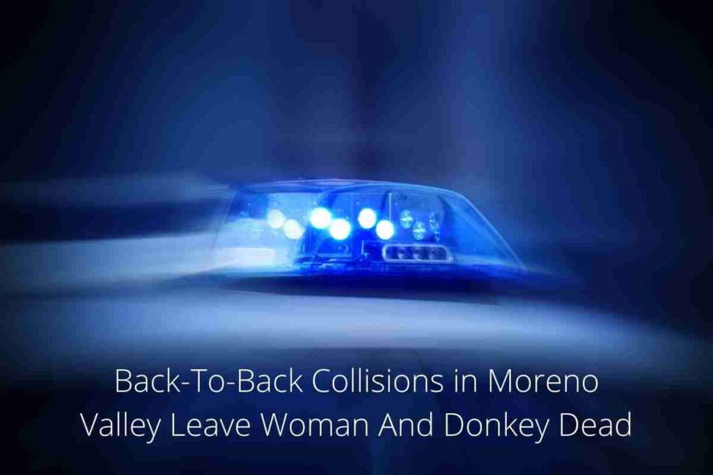 Back-To-Back Collisions in Moreno Valley Leave Woman And Donkey Dead