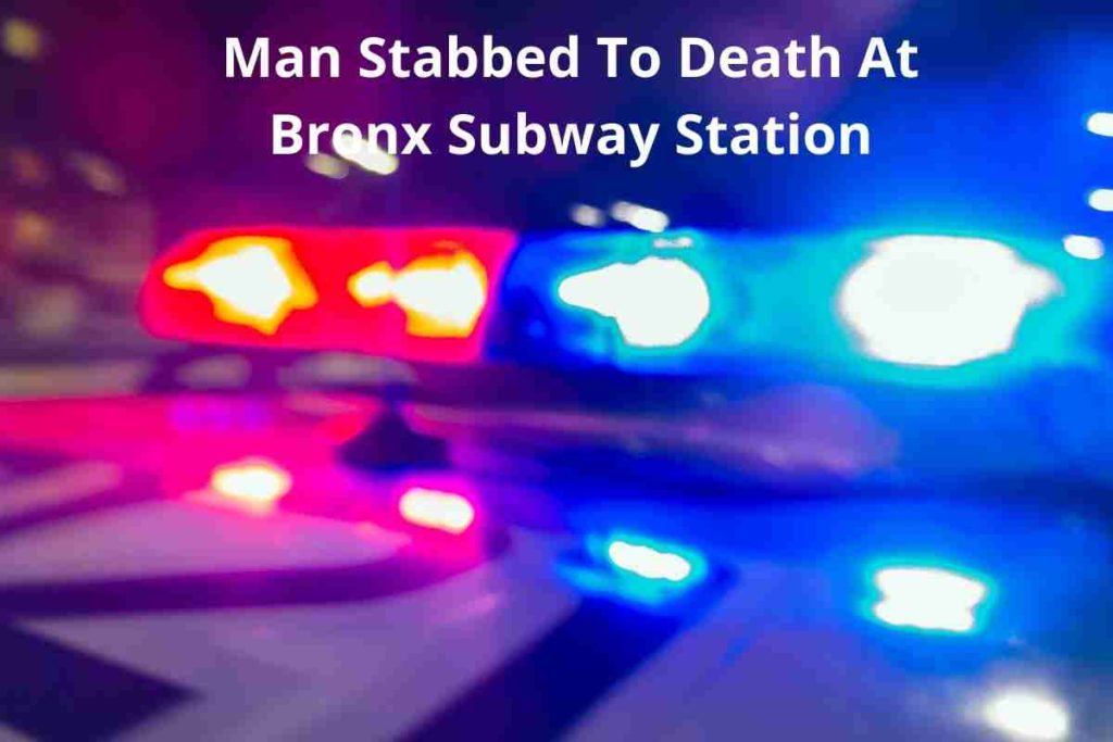 Man Stabbed To Death At Bronx Subway Station