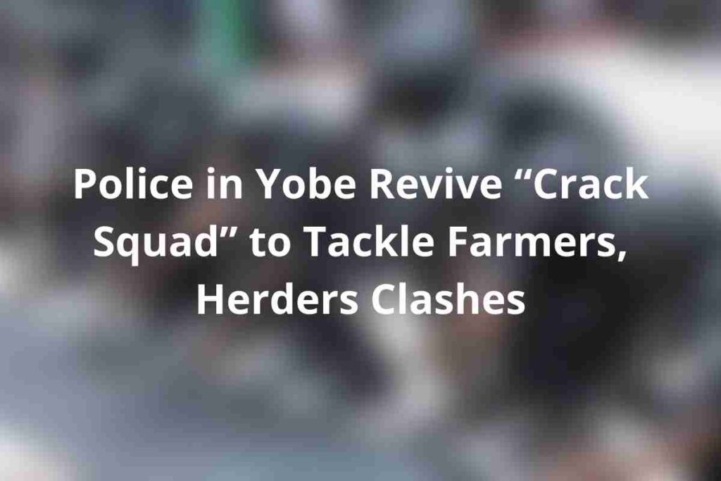 Police in Yobe Revive “Crack Squad” to Tackle Farmers, Herders Clashes