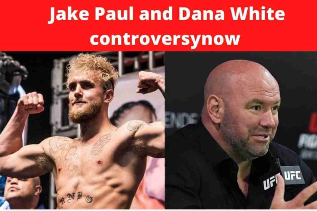 Jake Paul and Dana White controversy Everything You Need to Know