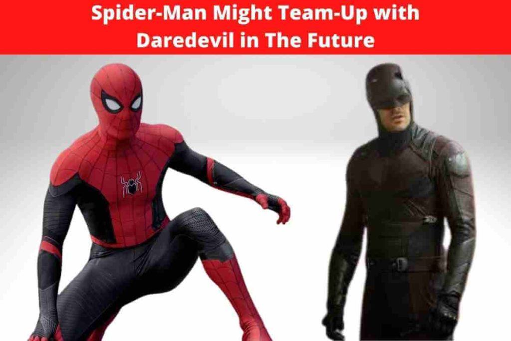Spider-Man Might Team-Up with Daredevil in The Future