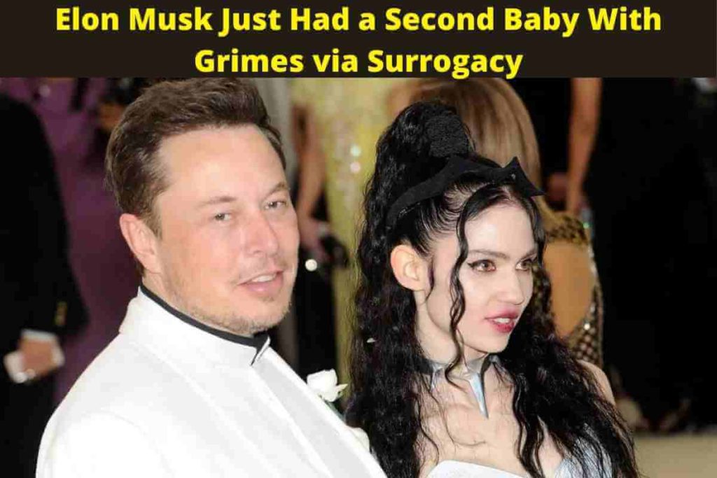 Elon Musk Just Had a Second Baby With Grimes via Surrogacy