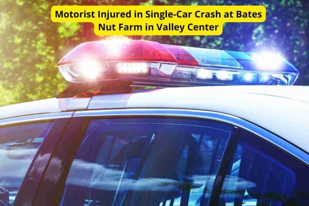 Motorist Injured in Single-Car Crash at Bates Nut Farm in Valley Center (1)