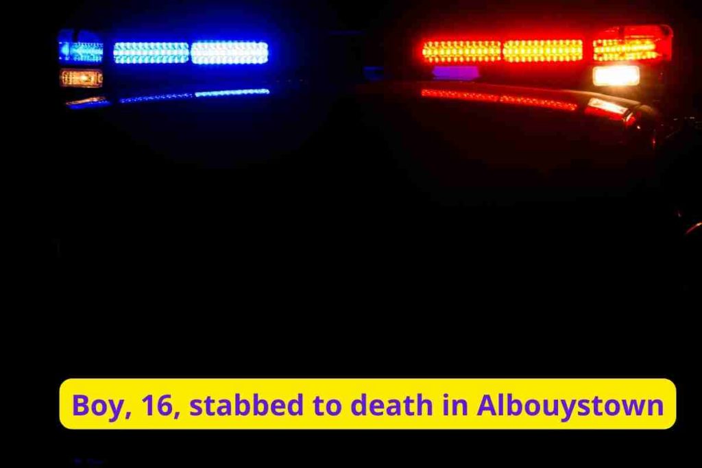 Boy, 16, stabbed to death in Albouystown