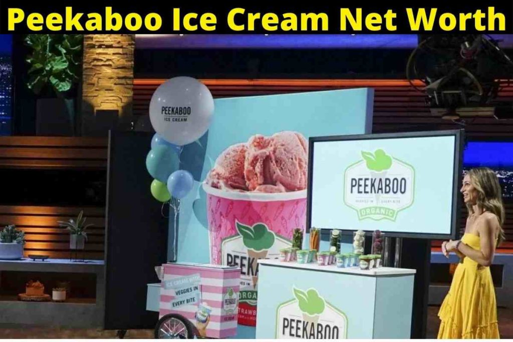 Peekaboo Ice Cream Net Worth: All Detail