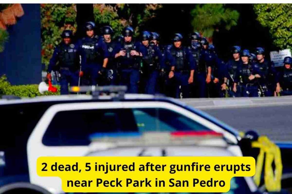 2 dead, 5 injured after gunfire erupts near Peck Park in San Pedro
