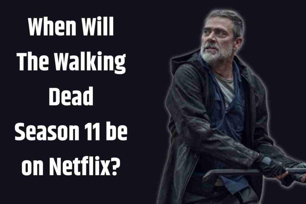 When Will The Walking Dead Season 11 be on Netflix